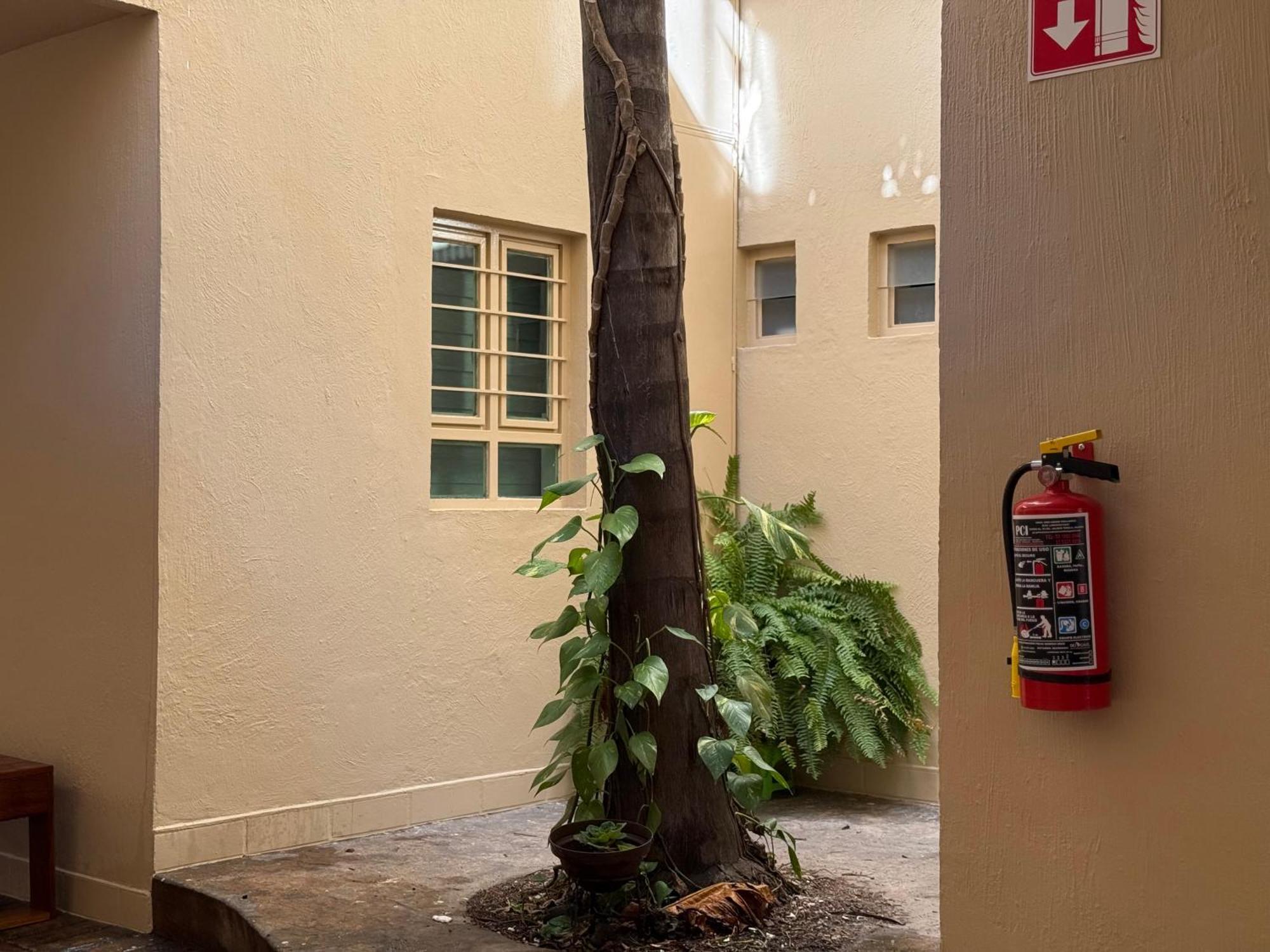 Villa La Palma Hotel Tequila Exterior foto